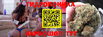 дмт Ярославль