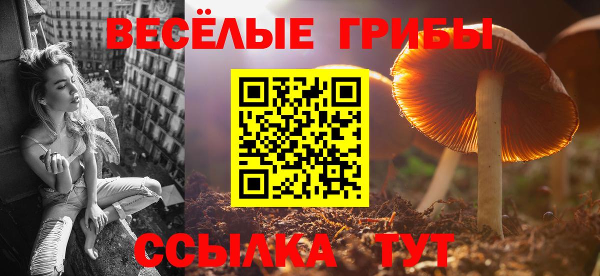 Галлюциногенные грибы MAGIC MUSHROOMS Губаха