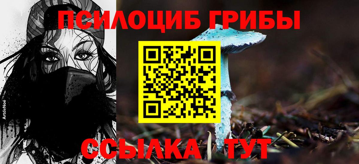Галлюциногенные грибы Cubensis  Вход с VPN  Губаха 