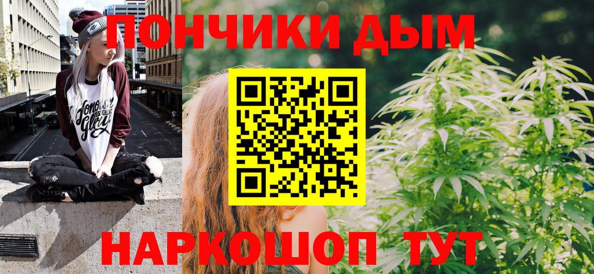Конопля гибрид Губаха
